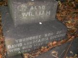 image of grave number 484354